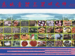 东北食药真菌研究所常年为您提供优质菌种服务图1