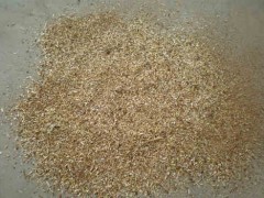 大量锯屑出售图1