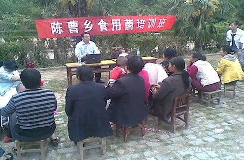 河南许昌：大学生村干部致富不忘乡邻携手专家搞培训