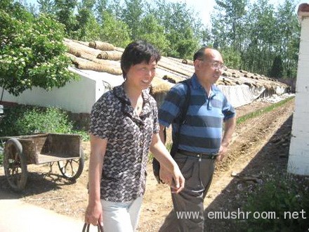 食用菌专家刘宇等赴顺义指导菌农解决生产技术问题