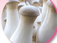 本所常年供应多种菇类鲜品图1