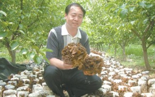 河南世纪香食用菌开发有限公司总经理、高级农艺师李彦增 ()