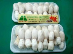 鸡腿菇小包装图1