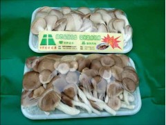 秀珍菇小包装图1