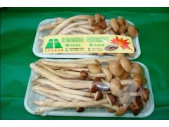 茶树菇小包装图1