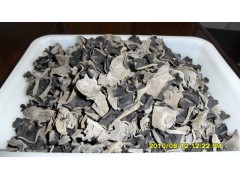 淄博亿百合食用菌发展有限公司图1