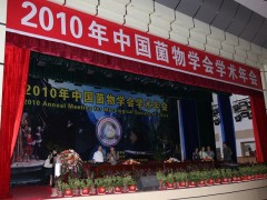 2010年8月15日上午：开幕式之前现场图片