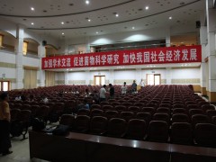 2010年8月15日上午：开幕式之前现场图片