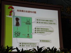 15日上午大会报告：福建农林大学教授谢宝贵《草菇的遗传研究》
