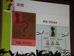 15日上午大会报告：福建农林大学教授谢宝贵《草菇的遗传研究》