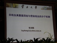 15日上午大会报告：云南大学副校长、教授张克勤《杀线虫真菌基因组与侵染线虫的分子机制》