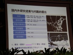 15日上午大会报告：云南大学副校长、教授张克勤《杀线虫真菌基因组与侵染线虫的分子机制》