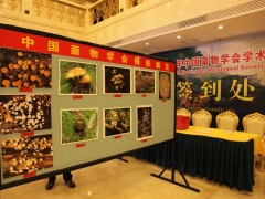 菌物摄影展：2010年中国菌物学会学术年会