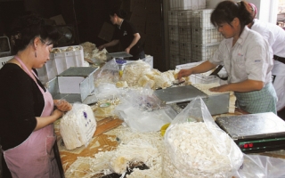 鞍山企业：日产金针菇2吨左右 ()