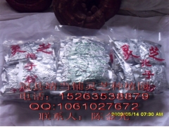 产地供应灵芝，灵芝孢子粉图1