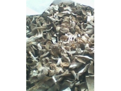 供应干品食用菌,品种:(姬菇)图1