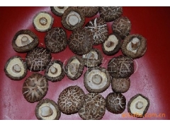 销售批发招商图1