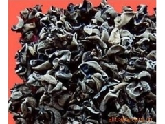 经营销售招商图1