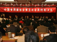 大会开幕式 摄影：徐泽群