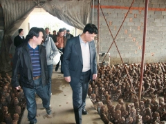 张祥茂会长与与会代表参观乐义食用菌千亩示范园   摄影：徐泽群