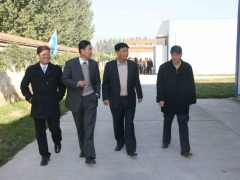 张祥茂会长、陆解人常务副会长、李尚元副会长、宋春领副会长参观食用菌工厂化企业   摄影：徐泽群