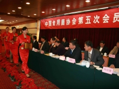 出席开幕式的领导给获得优秀龙头企业的单位颁奖   摄影：徐泽群