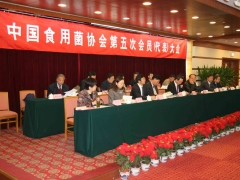 开幕式主席台   摄影：徐泽群