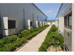 食用菌专用制冷机组图1