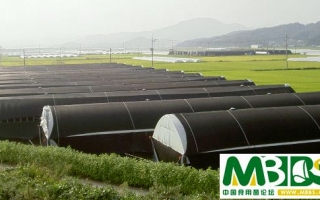 韩国考察（6）A  ――香菇代料栽培