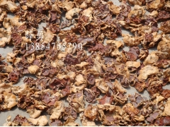 山东省榆耳基地直销图1