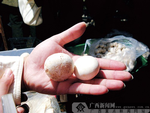 南宁突查五里亭市场 150公斤疑似漂白蘑菇被封存