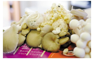 漂白蘑菇引关注  买蘑菇时需注意 ()