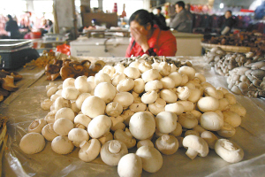 昨日，沙坪坝区新桥农贸市场，一摊贩销售的蘑菇雪白光滑。