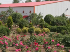 2006年建的第二个食用菌工厂化菇房