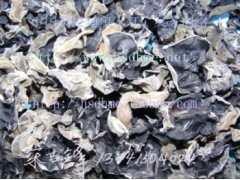 黄松甸春木耳1图1