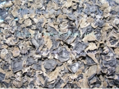 黄松甸春木耳2图1