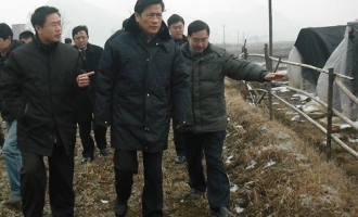 桂林市长到食用菌种植基地实地察看灾情 ()