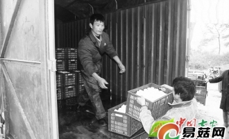 江西永丰开展高效蘑菇产业化建设产值2000多万元 ()
