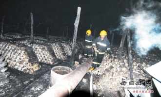 蘑菇棚失火 5亩温棚被毁损失30万 ()