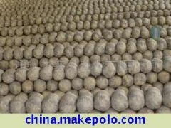 济南市稍门优质平菇菌种