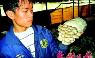 90后在惠州种6年平菇受到消费者青睐 ()