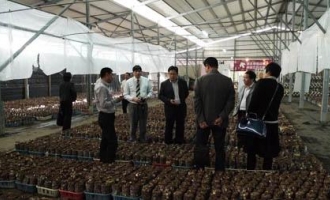 庆元县党政代表团赴台湾考察食用菌产业发展情况 ()