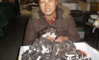 赵奇种蘑菇年收入五万多元 ()