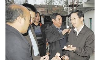 宜城香菇产业成就了一个又一个的“菇”司令 ()