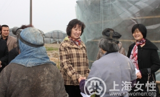 上海市妇联副主席赵英赴金山区廊下镇调研蘑菇种植项目 ()