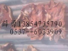 山东省鱼台武台榆耳基地