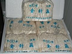 常年供应金针菇图1