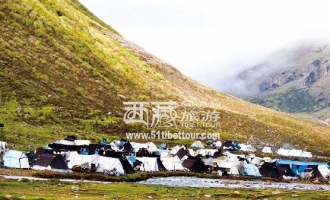 西藏神湖畔的虫草季 ()