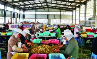 小小蘑菇鼓起农民钱袋子——蓬溪县食用菌产业发展纪实 ()