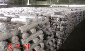 宣汉县君塘镇做大做强香菇产业的实践与思考 ()
